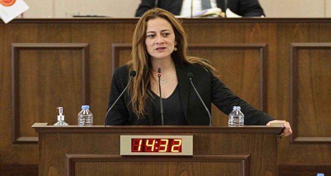 Doğuş Derya, Avrupa Parlamentosu'nda konuşacak