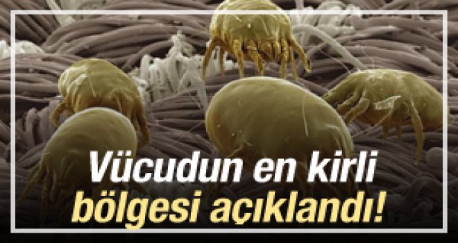 DAİRELİ BAŞAKLAR BEBEK BATTANİYESİ YENİ MODEL YAPILIŞI DAİRELİ BAŞAKLAR BEBEK BATTANİYESİ YENİ MODEL YAPILIŞI