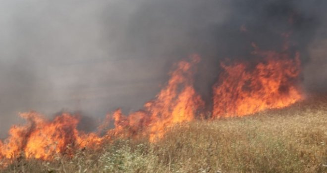 20 adet akasya ağacı ve 10 adet çam ağacı zarar gördü