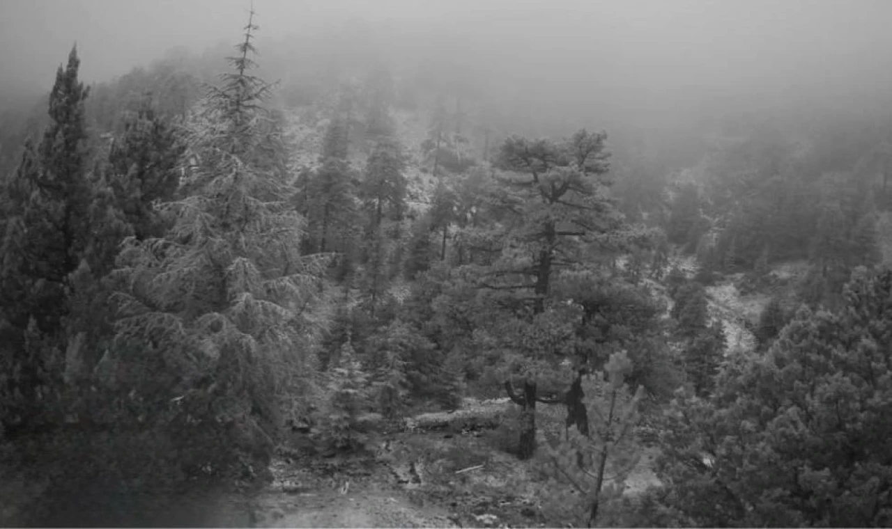 Trodos dağlarına yılın ilk karı düştü