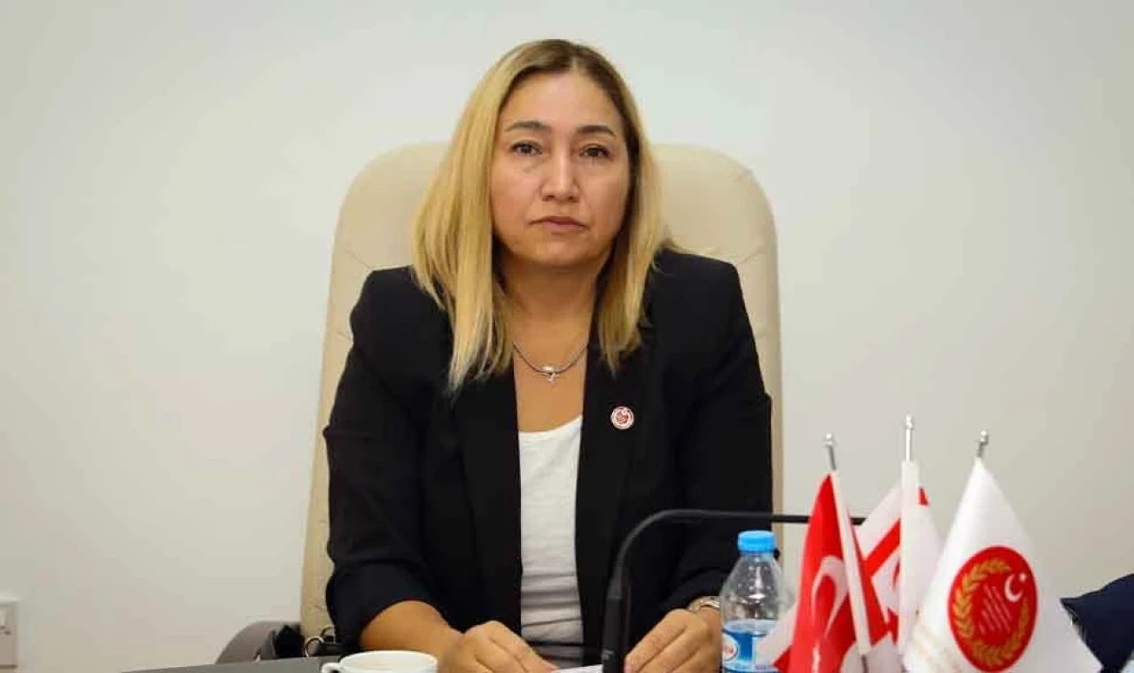 Yasemi Öztürk: İsrail askerinin Güney Kıbrıs'a gelmesi Ada'nın İsraillileşmesi süreci içindir!