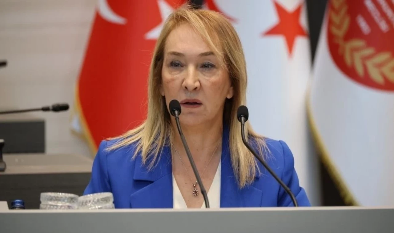 Filiz Besim: Ruh sağlığı ihmal kaldırmaz, ihmal edilmeye de devam edemez