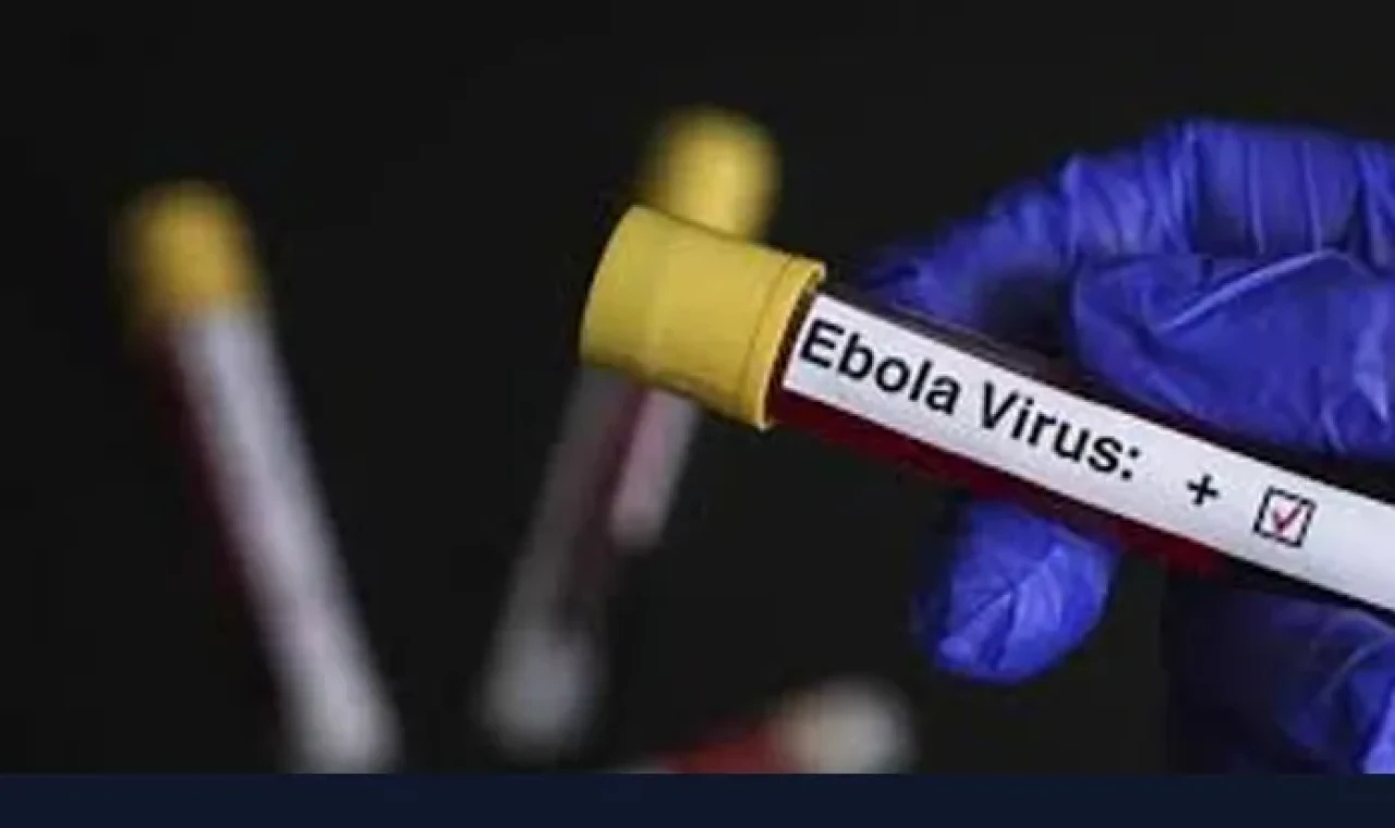 Dünya Sağlık Örgütü (DSÖ) "Virüs olağanüstü bir hızla yayılıyor"