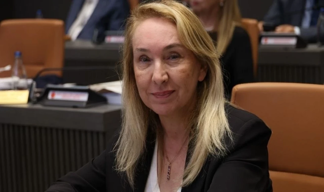Filiz Besim: Yedi yıldır çözülmeyen sağlık sorunları bugün acil servislerde karşımıza çıkıyor