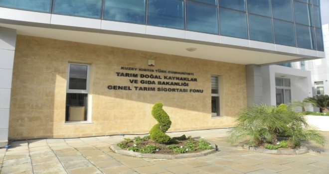 8 FİRMANIN ZEYTİNYAĞINDA KARIŞIM BULUNDU… 20 MARKA TEMİZ