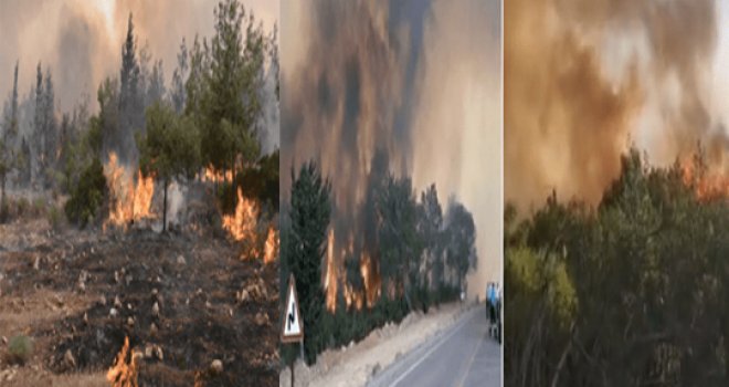 Ada genelinde bir günde 34’ten fazla yangın çıktı