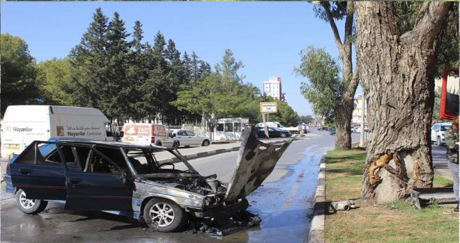 Ağaca çarpan araba alev alev yandı