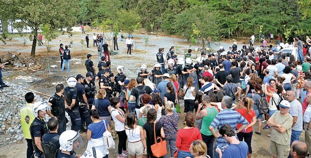 Ağaçları dikerseniz müdahale ederiz