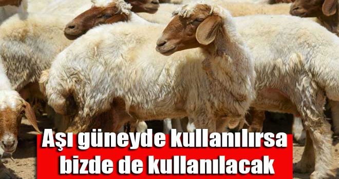 Aşı güneyde kullanılırsa, bizde de kullanılacak