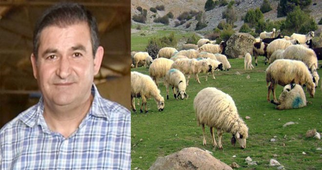 Ataben: Tüm kesimler veteriner hekim kontrolü olan mezbahalarda yapılmalı