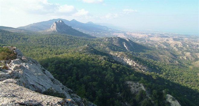 AVCILIK FEDERASYONU İLE ORMAN DAİRESİ PAZAR GÜNÜ BAŞLAYACAK İNCE AV İÇİN GÖRÜŞTÜ