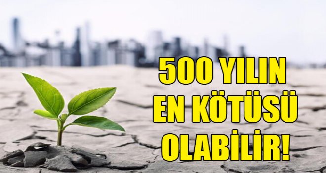 Avrupa'da kuraklık: 500 yılın en büyük kuraklığı olabilir