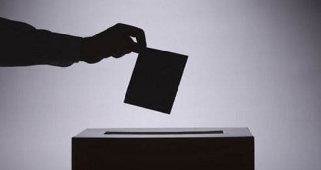 AVUSTURYA 15 EKİM'DE SANDIK BAŞINA GİDECEK