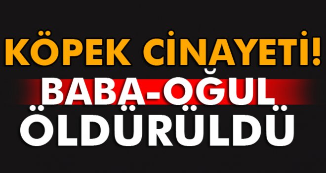 Baba-oğul köpek yüzünden öldürüldü
