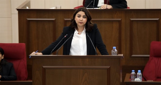 BAYBARS ÜLKEDE YAŞAYANLARIN SAYISI 374 bin 299