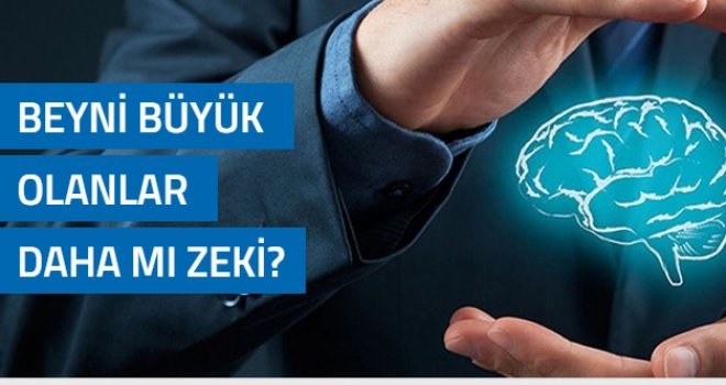 Beyni büyük olanlar daha mı zeki? (Çok az kişi tarafından bilinen ilginç bilgiler)