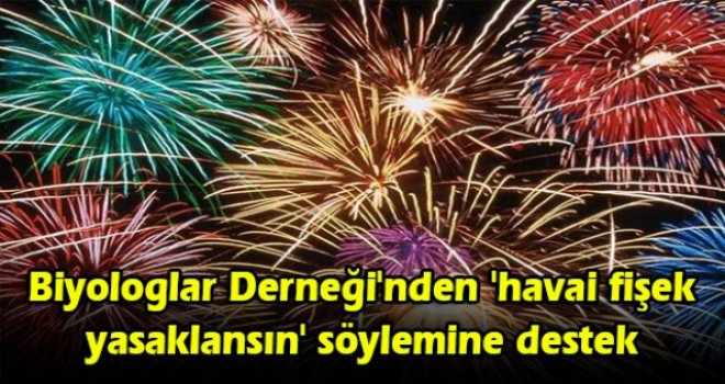 Biyologlar Derneği'nden 'havai fişek yasaklansın' söylemine destek