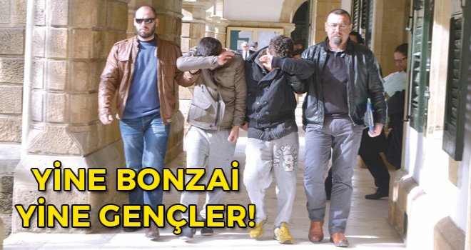 Bonzai ve Gençler