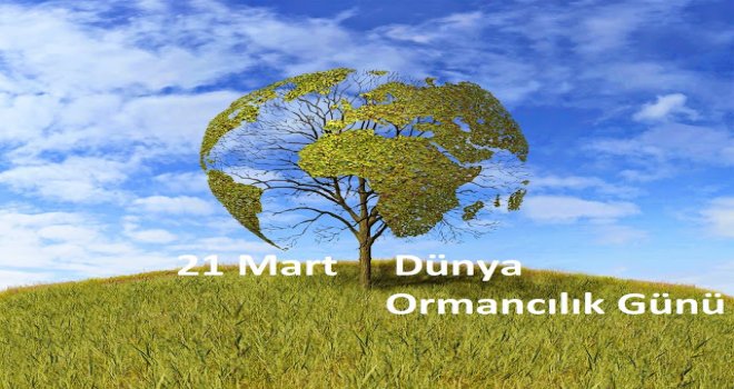 Bugün 21 Mart Dünya Ormancılık Günü
