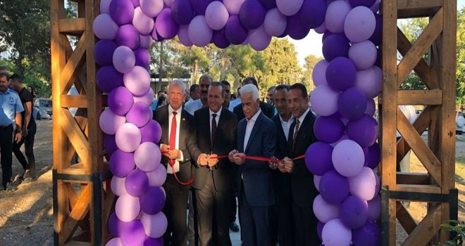 ÇAMLIBEL 7. DOMATES FESTİVALİ BAŞLADI
