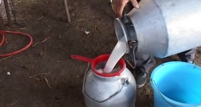 Çiğ süt bedelleri bugün ödenmeye başlandı