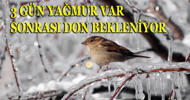 Cuma ve Cumartesi günleri don olayı bekleniyor.