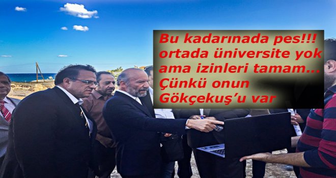 Cumhurbaşkanı ve hükümet yetkilileri neden 3 maymunu oynuyorlar ?