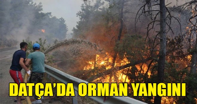 Datça'da orman yangını: Çıkış nedeni belli oldu