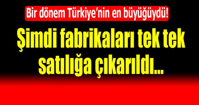 Dev şirketin taşınmazları satılığa çıkarıldı!
