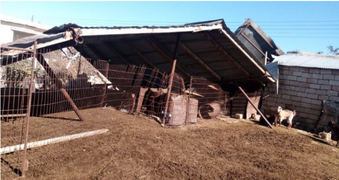 DOĞAL AFETLERDEN DOLAYI ÜRETİM ALANLARINDA OLUŞAN ZARARLAR TESPİT EDİLİYOR