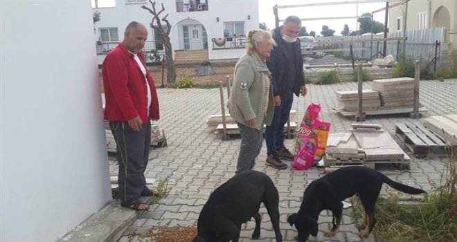 Doğayı ve Canlıyı Koruma Derneği’nden hayvanlara yardım çağrısı