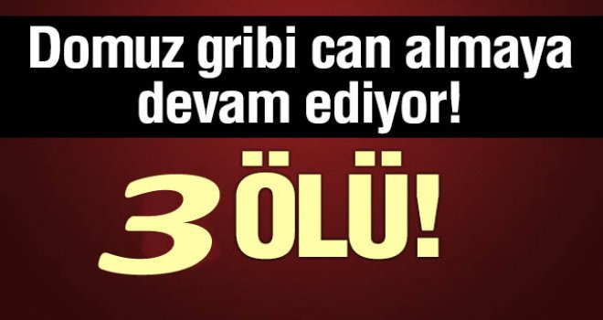 DOMUZ GRİBİ 3.CANIDA ALDI