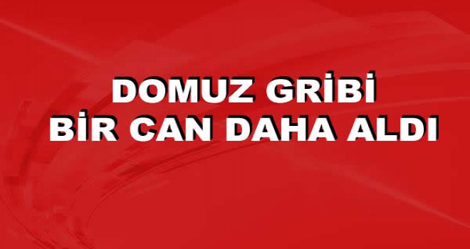 DOMUZ GRİBİNE BİR CAN DAHA