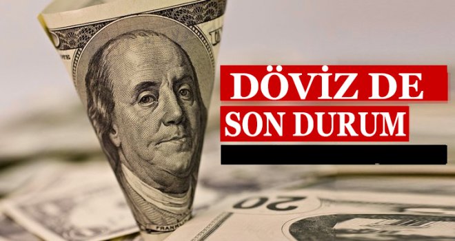 Döviz Kurları