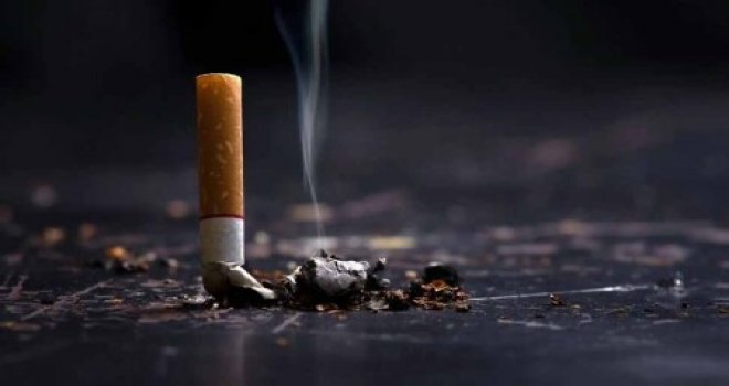 Dumansız Ada Platformu: Sağlık Bakanlığı gerekli denetim ve uygulamaları yerine getirmiyor