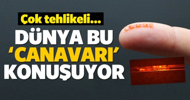 Dünyanın en tehlikeli canavarı yapıldı