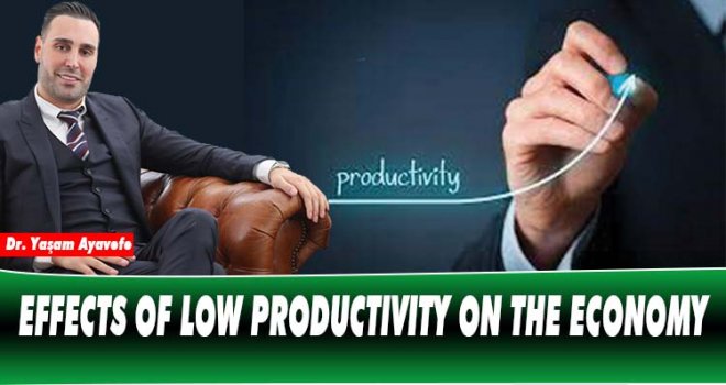 EFFECTS OF LOW PRODUCTIVITY ON THE ECONOMY