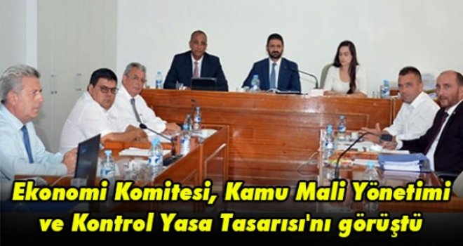 Ekonomi Komitesi, Kamu Mali Yönetimi ve Kontrol Yasa Tasarısı'nı görüştü