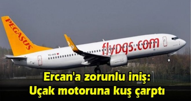 Ercan'a zorunlu iniş: Uçak motoruna kuş çarptı