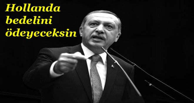 Erdoğan'dan son dakika Hollanda çıkışı! 