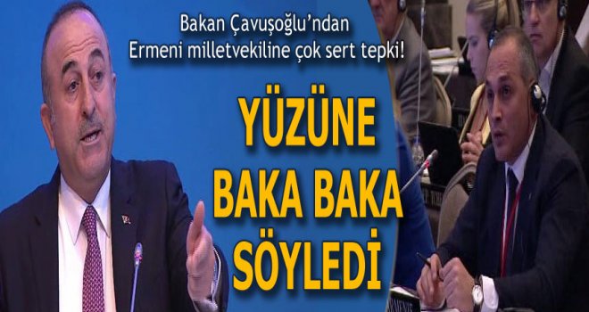 Ermeni milletvekiline sert tepki