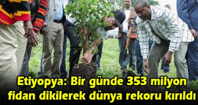 Etiyopya: Bir günde 353 milyon fidan dikilerek dünya rekoru kırıldı