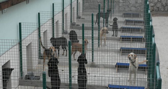 Girne Belediyesi Hayvan Barınağı Ve Rehabilitasyon Merkezi açıldı