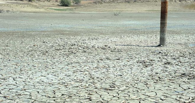 GÖLET KURUDU BİNLERCE BALIK ÖLDÜ