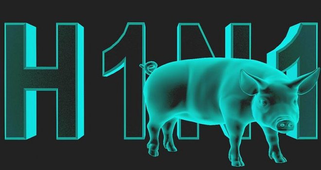 Güney Kıbrıs’da domuz gribinden ilk ölüm haberi geldi