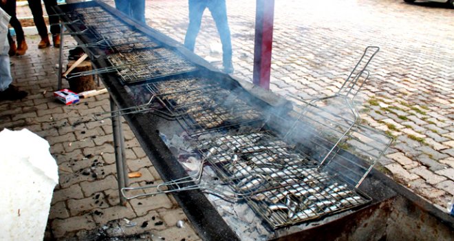 HAMSİ FESTİVALİ PAZAR GÜNÜ