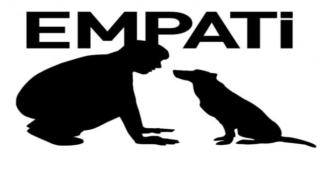 HAYVANLARI KORUMA DERNEĞİ BAŞKANI GÜVEN AÇIKLAMA YAPTI