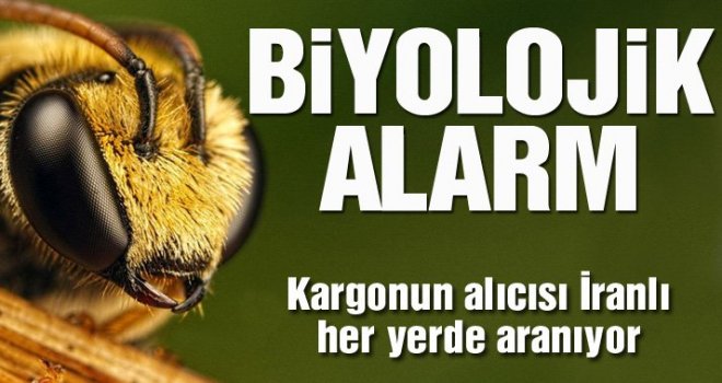 Kargodan çıkan 50 arı imha edildi