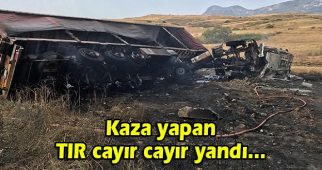 Kaza yapan TIR cayır cayır yandı...