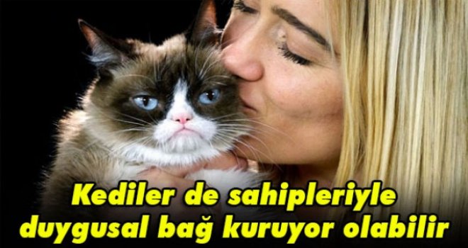 Kediler de sahipleriyle duygusal bağ kuruyor olabilir